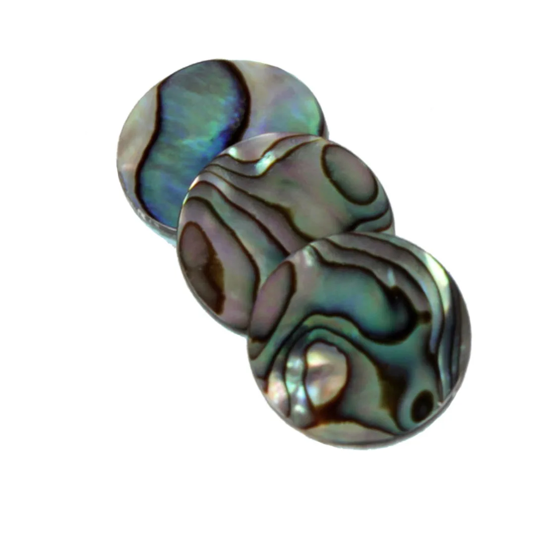 3 stks/set Trompet Abalone She - Musical Instrument Horn recensie en prijs