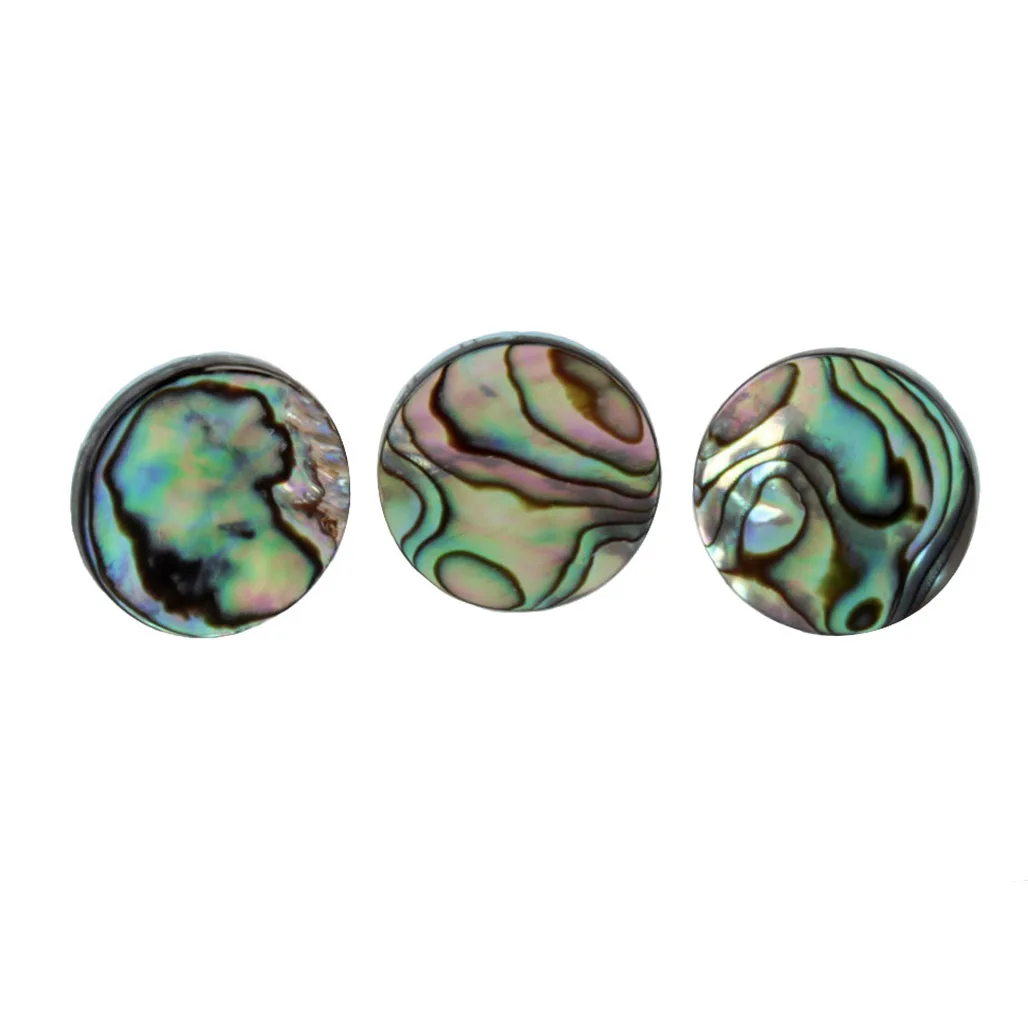 3 stks/set Trompet Abalone She - Musical Instrument Horn recensie en prijs