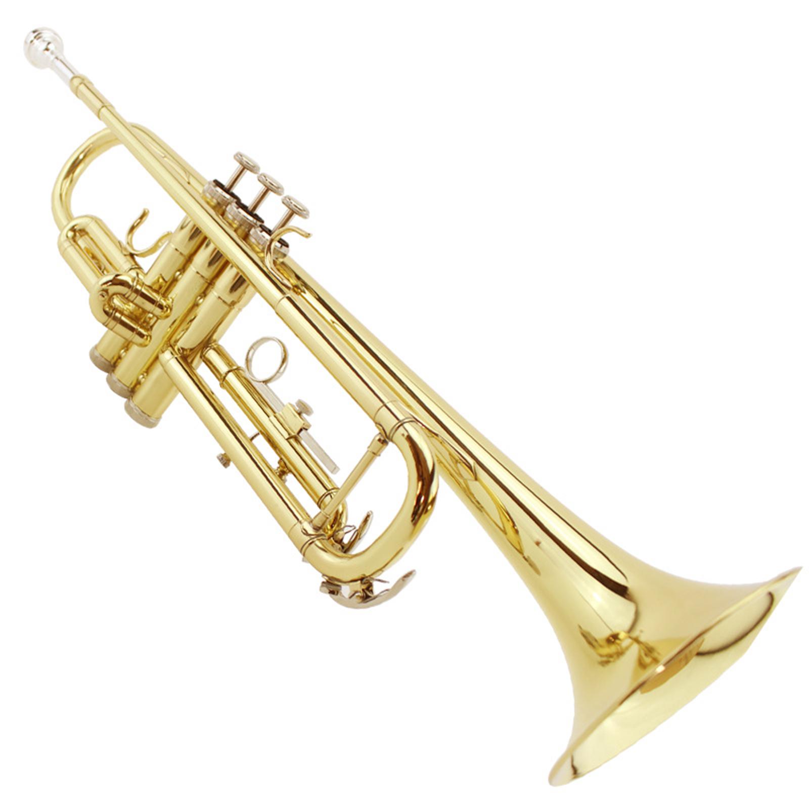 Trompetventieldopjes, zware do - Musical Instrument Horn recensie en prijs