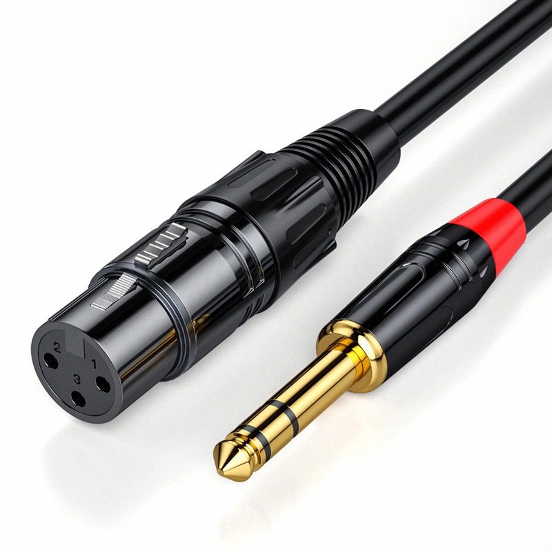 6,5 mm audio naar XLR vrouweli - Musical Instrument Synthesizer recensie en prijs